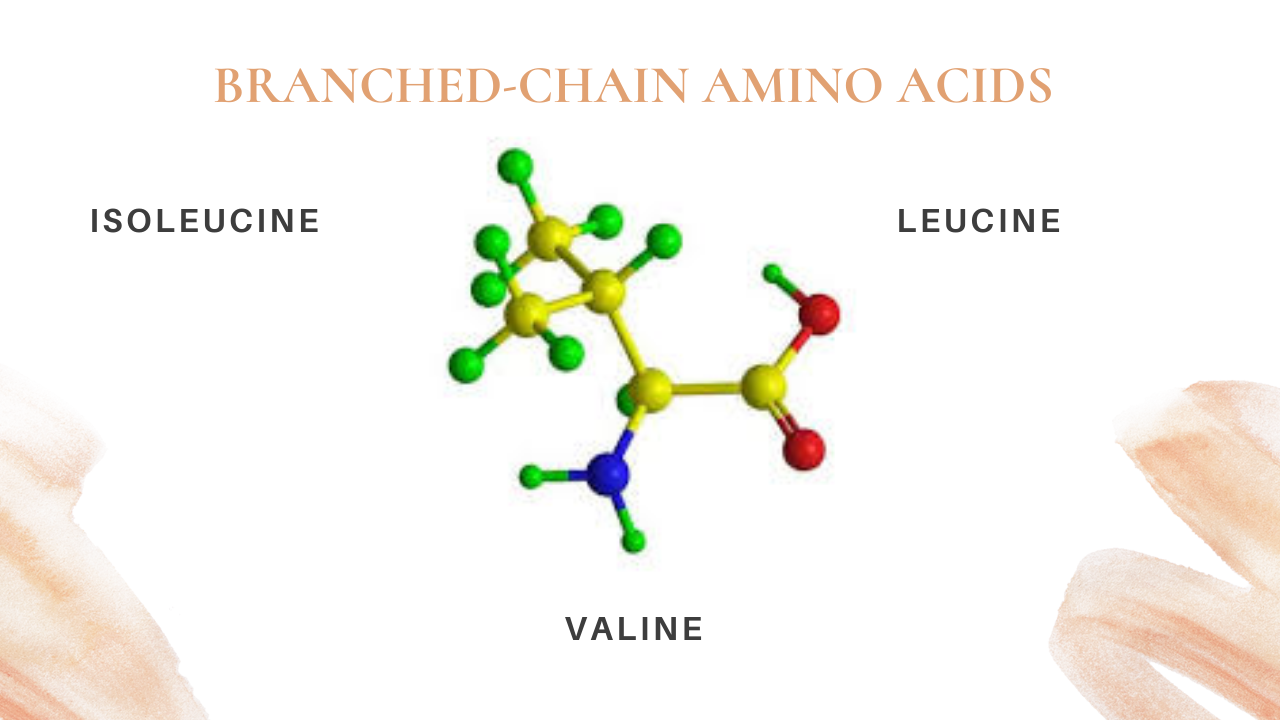 Branched Chain Amino Acids And Cancer At Larry Nickel Blog 